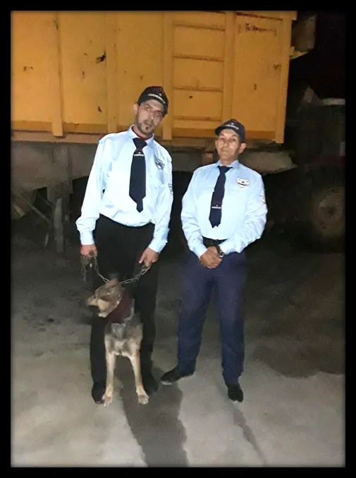 Deux agents TIHAMA et un chien de garde lors d’une ronde de nuit.